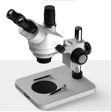Trinocular KGX-10HT